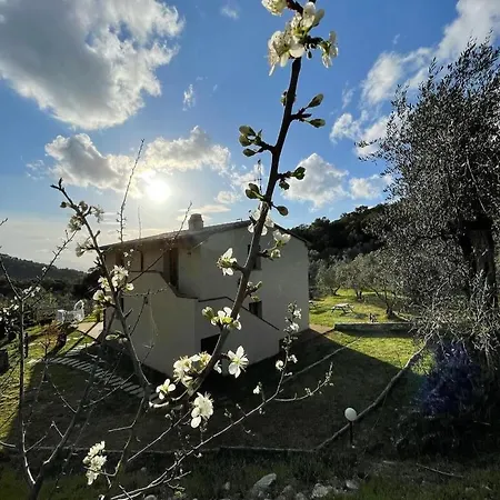 Il Sorbo Lavanda Appartement Roccastrada