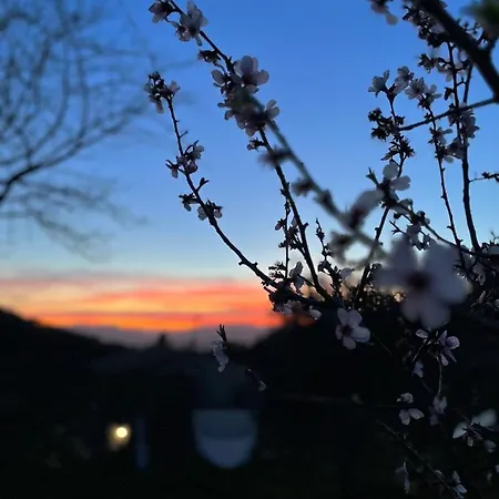 Il Sorbo Lavanda Appartement Roccastrada