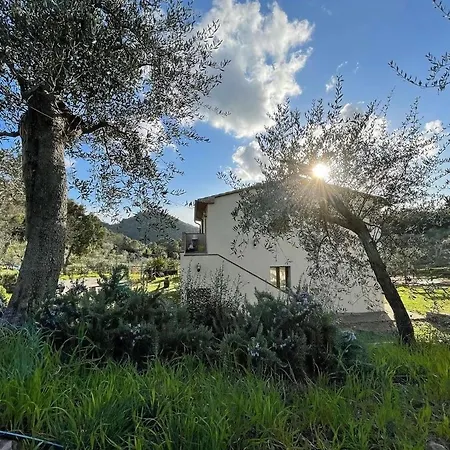 Il Sorbo Lavanda דירה