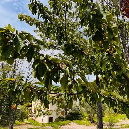 Il Sorbo Lavanda דירה רוקסטראדה