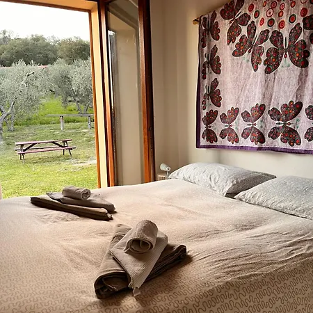 Il Sorbo Lavanda Appartement Roccastrada