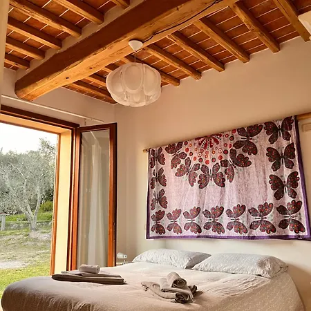 Il Sorbo Lavanda *
